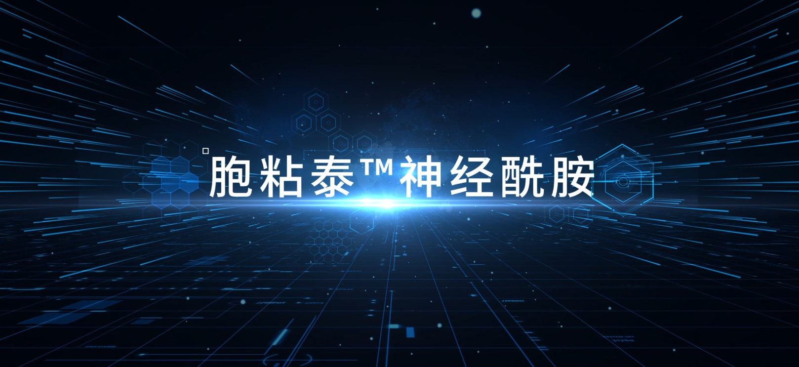 3月2日發(fā)布會(huì )——神經(jīng)酰胺技術(shù)