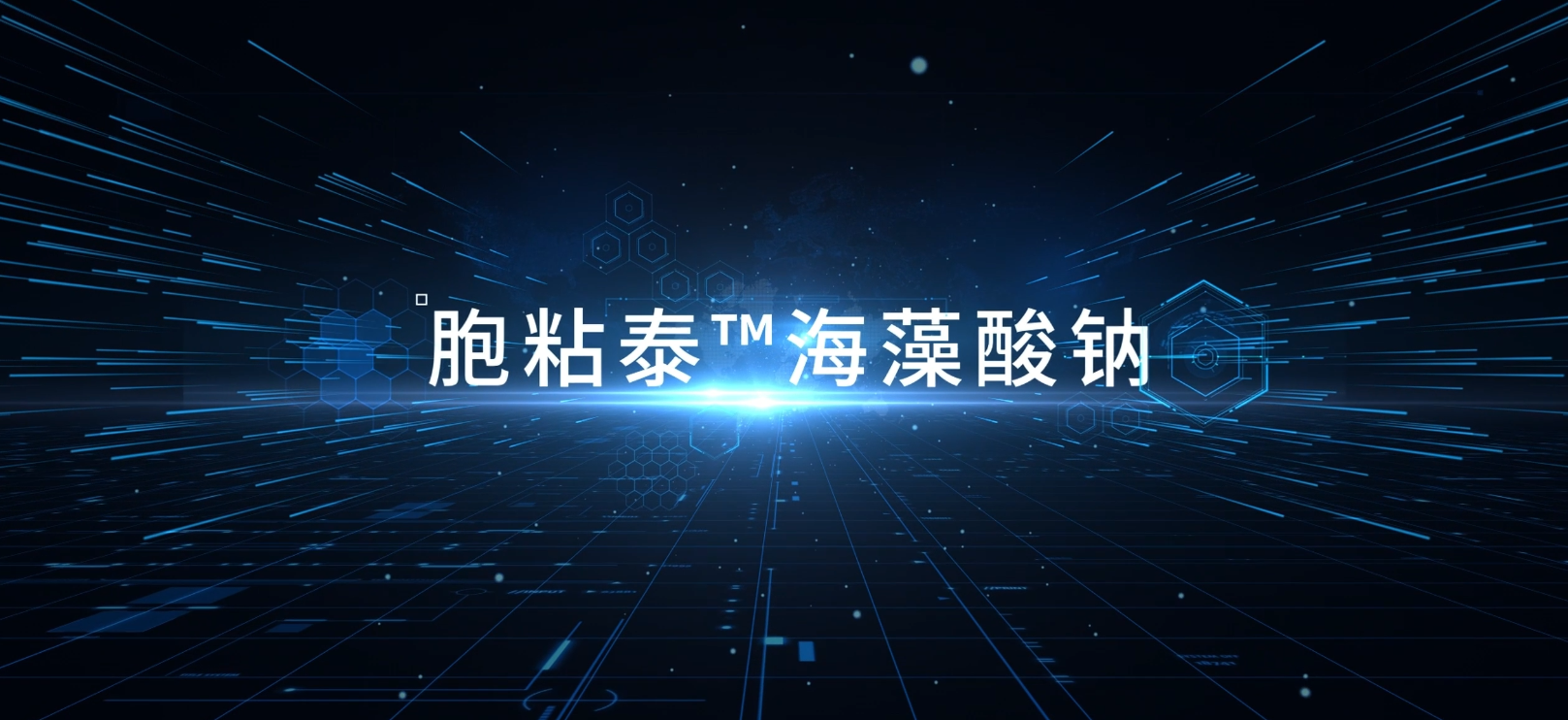 3月2日發(fā)布會(huì )——海藻酸鈉技術(shù)