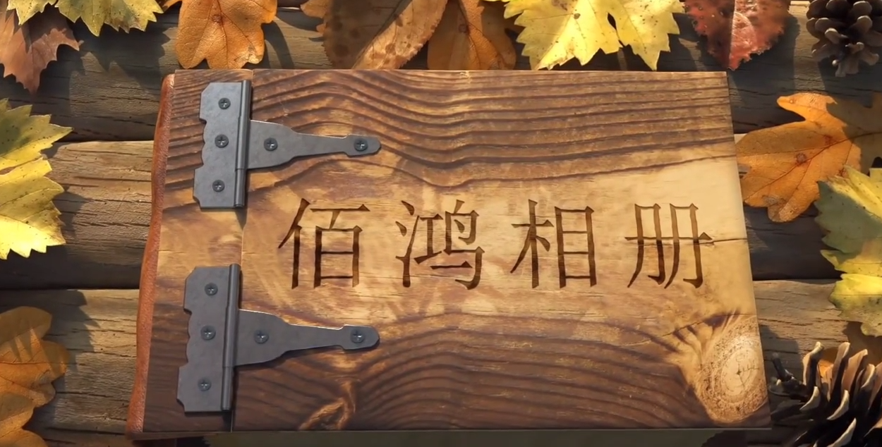 九年，從破土而出到碩果累累，從深耕再生醫學(xué)，到擁有多項技術(shù)專(zhuān)利，從術(shù)業(yè)專(zhuān)攻，到涉獵三大領(lǐng)域九年，時(shí)間長(cháng)河里的滄海一粟對于我們卻是3千多日日夜夜未來(lái)，我們有更多鴻圖…
